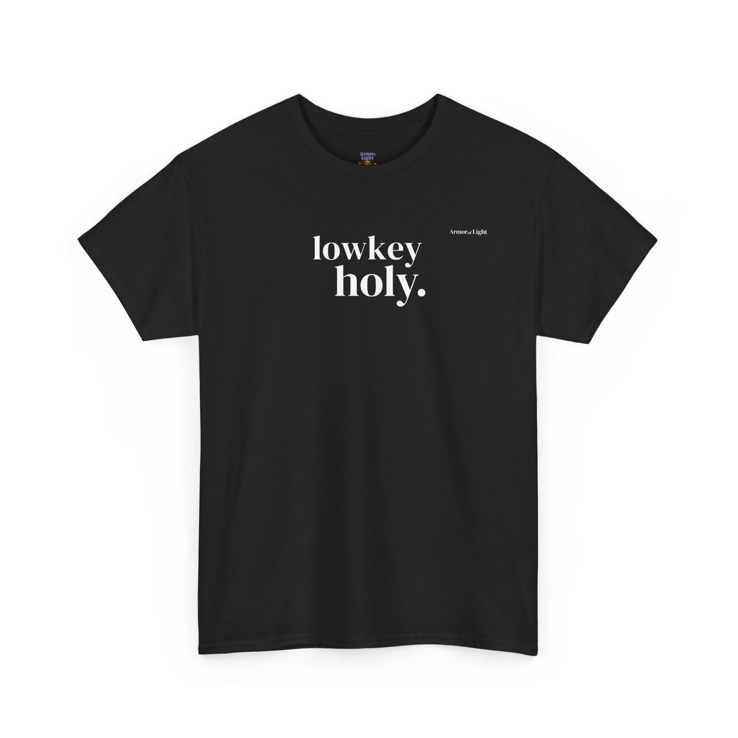 Saved in the Sunlight | Lowkey Holy. High-key Chosen. T-shirt